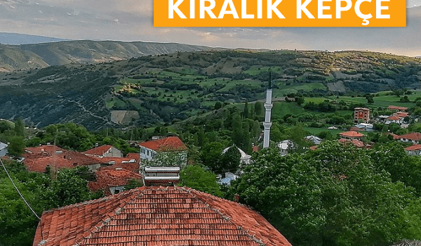 Pazar Kiralık Kepçe