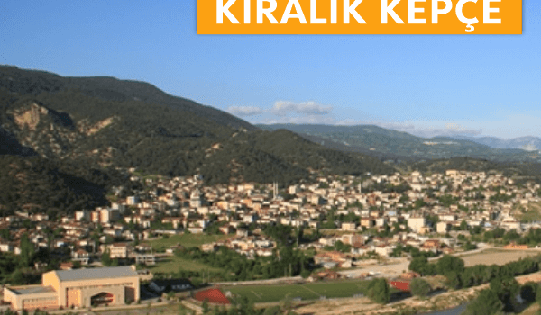 Reşadiye Kiralık Kepçe